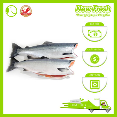 Cá Hồi Chile Nguyên Con Đông Lạnh Không Đầu Thơm Ngon Dinh Dưỡng | 1 Con ~ 4 - 4.5Kg