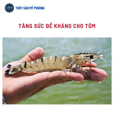 Vitamin khoáng trộn điện giải chống sốc Hado b.Complex tăng trọng giúp tăng cơ chống mòn vỏ cho tôm thẻ cá lươn ếch ốc b