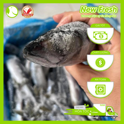 Cá Saba Nauy Nguyên Con - Túi 1Kg