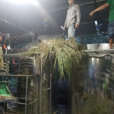 Tinh dầu sả chanh 10ml Mộc Mây - tinh dầu nguyên chất 100% từ thiên nhiên - chất lượng và mùi hương vượt trội