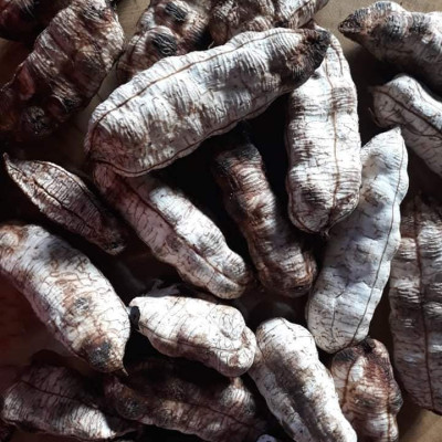 Đặc Sản Kon Tum - Quả Chuối Cô Đơn Khô Hiệu Đặc Sản Và Dược Liệu Kon Tum Thơm Ngon Đóng Hút Chân Không (1Kg) - OCOP 3 Sao