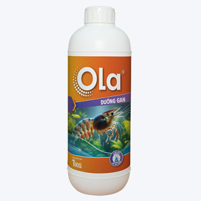 OLA DƯỠNG GAN: Phòng ngừa các vấn đề về gan, bổ gan tụy