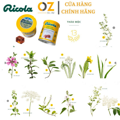 Hỗ trợ giảm đau họng Ricola Shweizer Krauterzucker chứa 13 loại thảo mộc đem đến cảm giác dịu nhẹ cổ họng và thơm mát (dạng kẹo) - OZ Slim Store