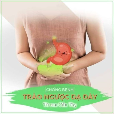 Tinh chất bột cần tây Dona 