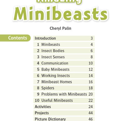 Oxford Read and Discover 3 Amazing Minibeasts
