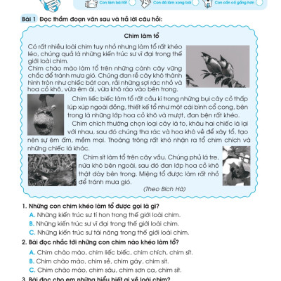 Bộ Đề Ôn Luyện Và Kiểm Tra Tiếng Việt 3 - MEGA