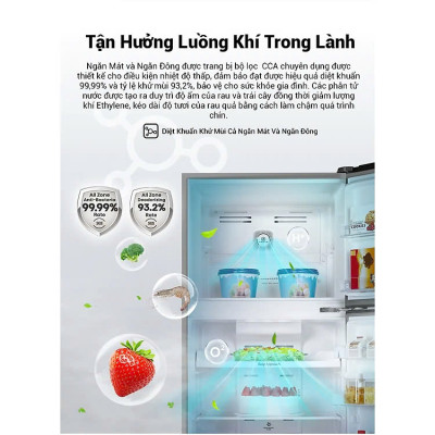 Tủ Lạnh Hisense Inverter Pro 424L RT549N4EBU Tiết Kiệm Điện Năng, Diệt Khuẩn Khử Mùi, Bảo Hành 3 Năm - Hàng Chính Hãng