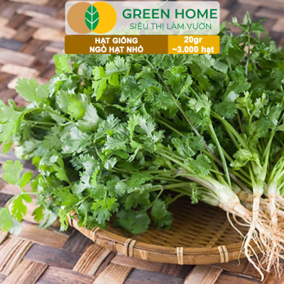 Hạt Giống Gia Vị Greenhome, Nhiều Loại, Trồng Chậu, Dễ Trồng, Chịu Nhiệt, Trồng Quanh Năm, Năng Suất