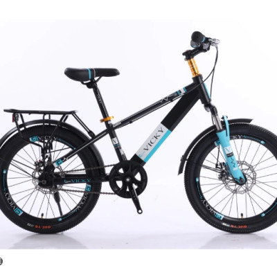 Xe đạp địa hình bánh 22 Vicky VIC122