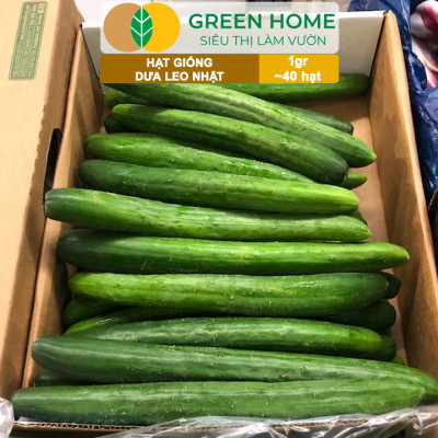 Hạt Giống Dưa Leo Nhật Lai F1 Greenhome, Gói 1gr 40 hạt, Dễ Trồng Quanh Năm, Nảy Mầm Cao, T24
