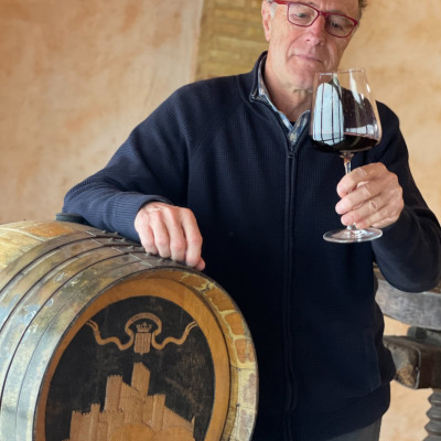 Rượu Vang Organic hữu cơ Castillo de Almansa Coleccion Garnacha Tintorera (Tây Ban Nha) kèm túi giấy,đồ khui