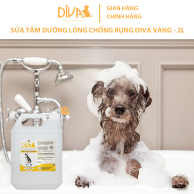 SỮA TẮM CHÓ DƯỠNG LÔNG GIẢM RỤNG DIVA VÀNG 2L (DIVA FORMULA 4)