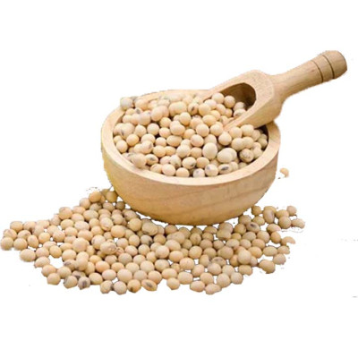 ĐẬU NÀNH SẤY GIÒN THƠM NGON - BỊCH ZIP 500G