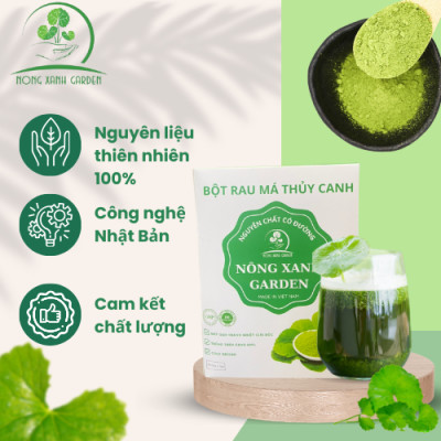 Nông Xanh Garden Bột Rau Má Thủy Canh Nguyên Chất Có Đường Hộp 15 gói (3gr/1 gói) hòa tan uống liền, dễ uống thanh nhiệt
