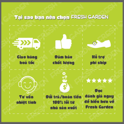 Bánh Quy Soclola Chip FRESH GARDEN Thơm Ngon Giòn Tan Nhiều Dinh Dưỡng Hộp 80g