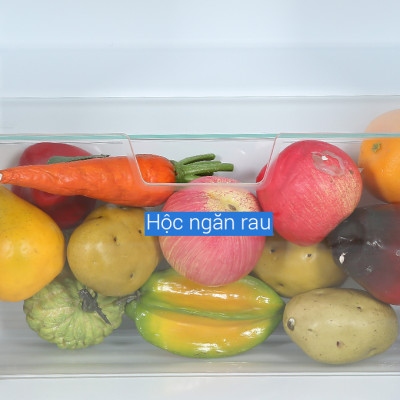 [HCM] Tủ Lạnh Electorlux EUM0930BD-VN / EUM0930AD-VN - Dung Tích 94L - Hàng Chính Hãng