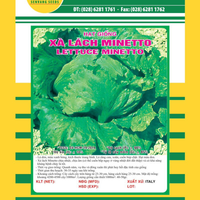 Hạt giống xà lách Minetto VTS101