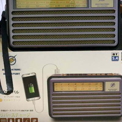 Đài Radio FM DS-1975BT Nhật-Kiểu Dáng Cổ Điển - Loa Bluetooth 5.4 Hỗ Trợ USB, Thẻ nhớ, Cáp sạc typeC - Hàng chính hãng