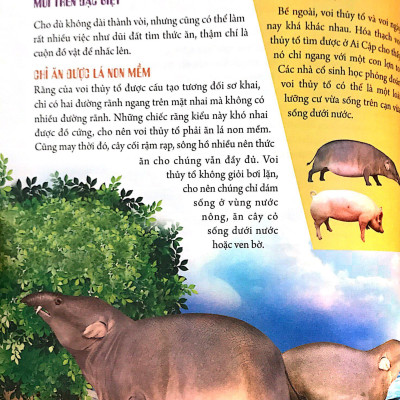 Bách Khoa Động Vật Dành Cho Trẻ Nhỏ - Động Vật Tiền Sử