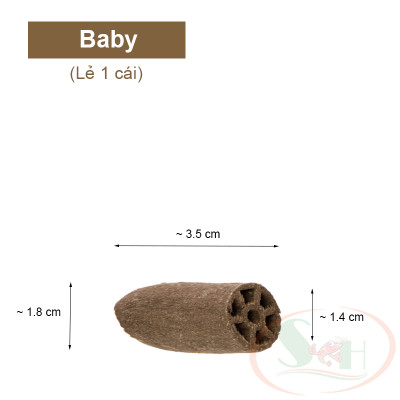 Hang thức ăn GlasGarten Crispy Caves ăn dặm bổ sung dài ngày cho cá tôm tép cảnh