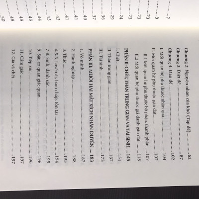 Combo 2 quyển Bát Chánh Đạo + Tứ Diệu Đế (Đạo Lộ) (Con Đường Đi Đến Giải Thoát Của Đức Phật) 