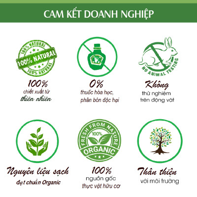 Tinh dầu Cam ngọt 50ml nguyên chất từ thiên nhiên, thơm phòng, xông phòng, đuổi muỗi, khử mùi - KingOil