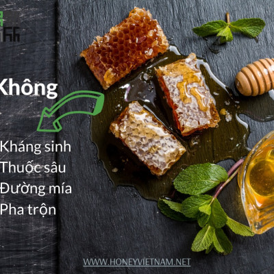 Mật Ong Bánh Tổ Jade Mountain Chứa Sáp Ong Nguyên Vẹn Chất Lượng Cao 500gr