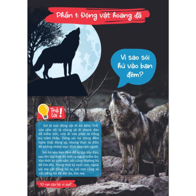 Kiến Thức Bách Khoa - 10 vạn câu hỏi vì sao - Thế giới động vật (VT)