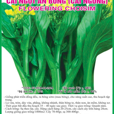 Hạt giống cải ngồng - cải ngọt ăn bông gói 20g VTS030